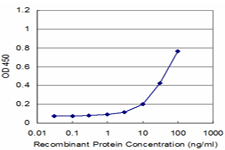 MMP3 Antibody - Detection limit for recombinant GST tagged MMP3 is approximately 3 ng/ml as a capture antibody.