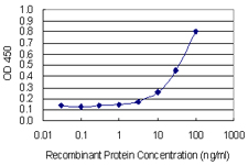 MMP3 Antibody - Detection limit for recombinant GST tagged MMP3 is 1 ng/ml as a capture antibody.