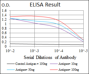 MMP3 Antibody - Red: Control Antigen (100ng); Purple: Antigen (10ng); Green: Antigen (50ng); Blue: Antigen (100ng);
