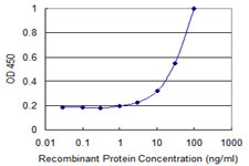 MMRN1 Antibody - Detection limit for recombinant GST tagged MMRN1 is 1 ng/ml as a capture antibody.