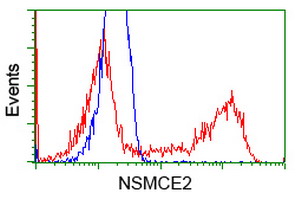 MMS21 / NSMCE2 Antibody - HEK293T cells transfected with either overexpress plasmid (Red) or empty vector control plasmid (Blue) were immunostained by anti-NSMCE2 antibody, and then analyzed by flow cytometry.