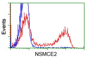 MMS21 / NSMCE2 Antibody - HEK293T cells transfected with either overexpress plasmid (Red) or empty vector control plasmid (Blue) were immunostained by anti-NSMCE2 antibody, and then analyzed by flow cytometry.
