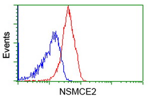 MMS21 / NSMCE2 Antibody - Flow cytometry of Jurkat cells, using anti-NSMCE2 antibody, (Red), compared to a nonspecific negative control antibody, (Blue).