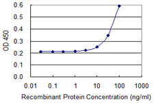 MNDA Antibody - Detection limit for recombinant GST tagged MNDA is 3 ng/ml as a capture antibody.