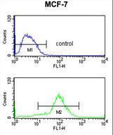 MOB2 Antibody - HCCA2 Antibody flow cytometry of MCF-7 cells (bottom histogram) compared to a negative control cell (top histogram). FITC-conjugated goat-anti-rabbit secondary antibodies were used for the analysis.