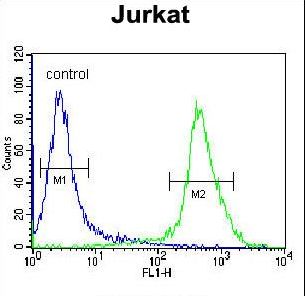 MOGAT3 Antibody - MOGT3 Antibody flow cytometry of Jurkat cells (right histogram) compared to a negative control cell (left histogram). FITC-conjugated donkey-anti-rabbit secondary antibodies were used for the analysis.