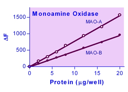 MAO / Monoamine Oxidase Assay Kit