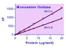 MAO / Monoamine Oxidase Assay Kit