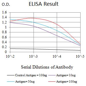 MORF / MYST4 Antibody - Black line: Control Antigen (100 ng);Purple line: Antigen (10ng); Blue line: Antigen (50 ng); Red line:Antigen (100 ng)