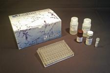 ALB / Serum Albumin ELISA Kit