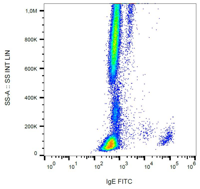 Human IgE Antibody - Surface staining of IgE on human peripheral blood cells with anti-IgE (4H10) FITC.
