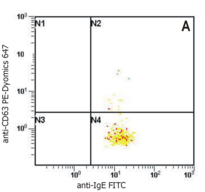 Human IgE Antibody - Flow Cytometry analysis of basophil activation upon stimulation of normal (heparin-treated) whole blood with combination of IL-3 and Goat anti-IgE polyclonal antibody.  Combination of anti-human IgE (BE5) FITC and anti-human CD63 (MEM-259) PE-Dyomics 647  was used (analysis in basophil window).  A - staining of non-stimulated (control) sample  1B - staining of IgE stimulated sample