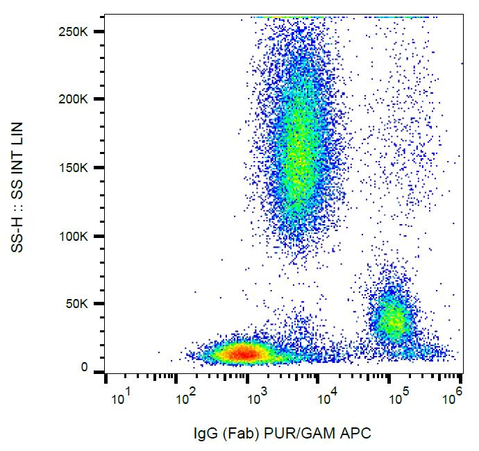 Anti-Human IgG Fab Antibody | Mouse anti-Human Monoclonal | LSBio