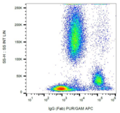 Human IgG Fab Antibody - Surface staining of human peripheral blood cells with anti-human IgG Fab fragment (4A11) purified / GAM-APC.