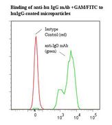 Human IgG Antibody - Flow cytometry of Human IgG antibody This image was taken for the unmodified form of this product. Other forms have not been tested.