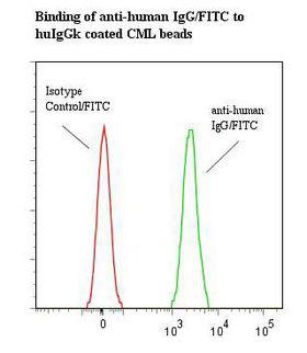 Human IgG Antibody - Flow cytometry of Human IgG antibody This image was taken for the unconjugated form of this product. Other forms have not been tested.