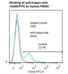 Human Kappa Light Chain Antibody - Flow cytometry of Ig Kappa Light Chain antibody This image was taken for the unmodified form of this product. Other forms have not been tested.