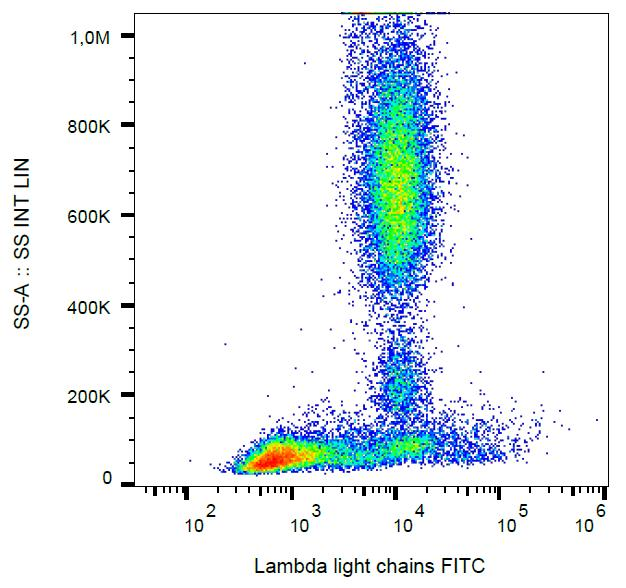 Human Lambda Light Chain Antibody - Surface staining of human peripheral blood with anti-human lambda light chain (4C2) FITC.