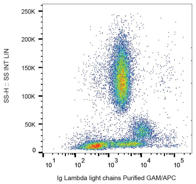 Human Lambda Light Chain Antibody - Surface staining of human peripheral blood with anti-human lambda light chain (4C2) purified, GAM-APC.