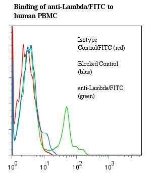 Human Lambda Light Chain Antibody - Flow cytometry of Ig Lambda Light Chain antibody This image was taken for the unconjugated form of this product. Other forms have not been tested.