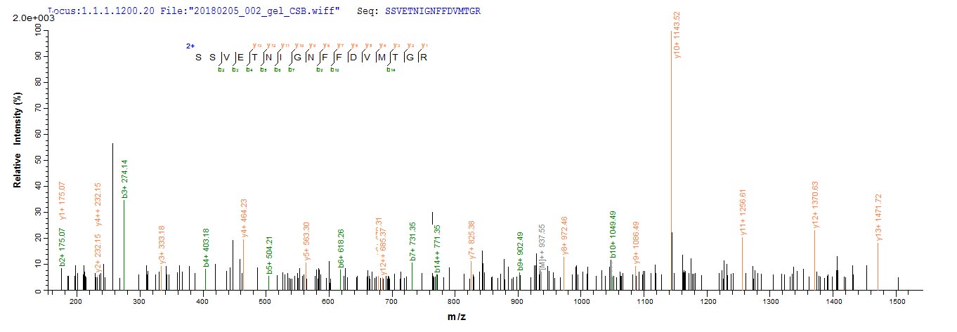 C1QTNF3 / CTRP3 Protein - Based on the SEQUEST from database of E.coli host and target protein, the LC-MS/MS Analysis result of Recombinant Mouse Complement C1q tumor necrosis factor-related protein 3(C1qtnf3) could indicate that this peptide derived from E.coli-expressed Mus musculus (Mouse) C1qtnf3.