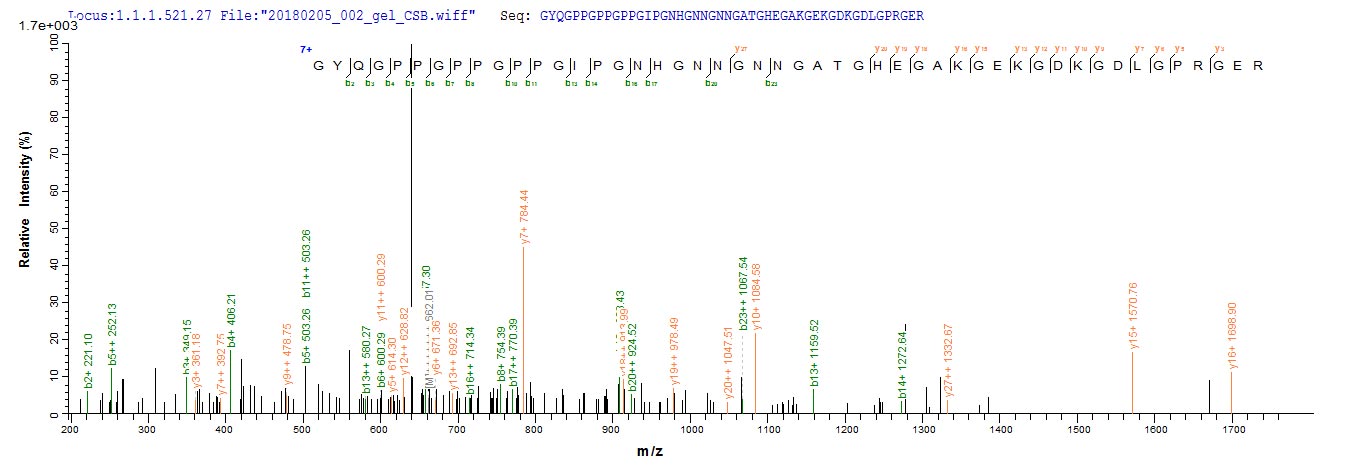 C1QTNF3 / CTRP3 Protein - Based on the SEQUEST from database of E.coli host and target protein, the LC-MS/MS Analysis result of Recombinant Mouse Complement C1q tumor necrosis factor-related protein 3(C1qtnf3) could indicate that this peptide derived from E.coli-expressed Mus musculus (Mouse) C1qtnf3.