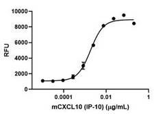 CXCL10 / IP-10 Protein - Chemotaxis assay