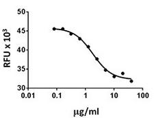 Endostatin Protein - Mouse endostatin inhibits the HUVEC cell proliferation induced by human FGF basic.