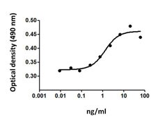 EPO / Erythropoietin Protein - TF-1 cell proliferation induced by mouse EPO.