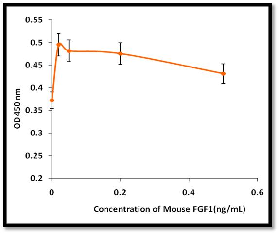 FGF1 / Acidic FGF Protein - The ED(50) as determined by the dose-dependent stimulation of thymidine uptake by BaF3 cells expressing FGF receptors is = 10 ng/mL, corresponding to a specific activity of = 1.0 x 10^5 units/mg.