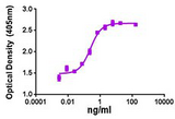 GDF2 / BMP9 Protein - Alkaline phosphatase induced by mouse BMP-9 in ATDC5 cells.