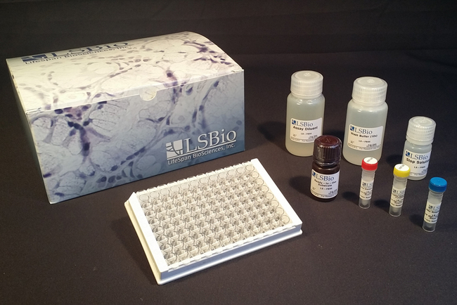 CDK7 ELISA Kit