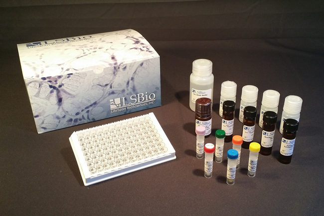 SRF / Serum Response Factor ELISA Kit