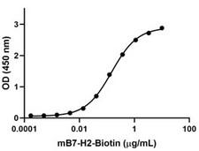 ICOS / CD278 Protein - Immobilized recombinant mouse ICOS at 2 µg/mL binds recombinant mouse B7-H2-biotin in a dose-dependent manner. The ED50 for this effect is 0.08-0.48 µg/mL