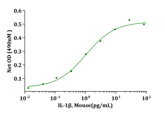 IL-1B / IL-1 Beta Protein - Biological Activity IL-1beta, Mouse stimulates cell proliferation of D10S cells. The ED 50 for this effect is less than 2pg/mL.