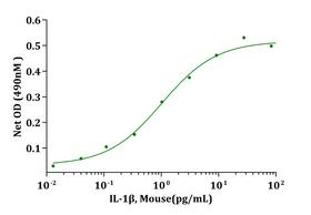 IL-1B / IL-1 Beta Protein - Biological Activity IL-1beta, Mouse stimulates cell proliferation of D10S cells. The ED 50 for this effect is less than 2pg/mL.