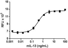 IL13 Protein - Recombinant mouse IL-13 induces the proliferation of TF-1 cell in a dose-dependent manner. The ED50 for this effect is 0.3 - 1.5 ng/mL.