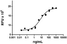 IL15 Protein - Mouse IL-15 induces the proliferation of CTLL2 mouse cells. The ED50 for this effect is 2.5 €“ 15 ng/mL.