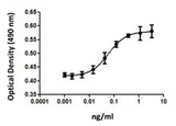 IL5 Protein - BCL-1 cell proliferation induced by mouse IL-5.