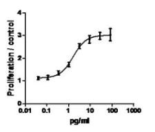 IL6 / Interleukin 6 Protein - Mouse IL-6 induces the proliferation of mouse 7TD1 cells.