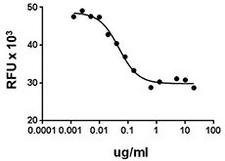 KDR / VEGFR2 / FLK1 Protein - Inhibition of HUVEC cell proliferation induced by mouse VEGF120 in the presence of mouse VEGFR2.