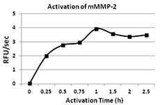 MMP2 Protein - The activity of mMMP-2 was measured with 10 µM of fluorogenic MMP substrate, Mca-PLGL-Dpa-AR-NH2, in the presence of 0.625, 1.25, 2.5, 5.0, 10, and 20 ng of activated mMMP-2.