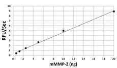 MMP2 Protein - The activity of mMMP-2 was measured with 10 µM of fluorogenic MMP substrate, Mca-PLGL-Dpa-AR-NH2, in the presence of 0.625, 1.25, 2.5, 5.0, 10, and 20 ng of activated mMMP-2.
