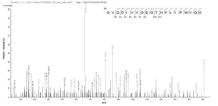 PHB / Prohibitin Protein - Based on the SEQUEST from database of E.coli host and target protein, the LC-MS/MS Analysis result of Recombinant Mouse Prohibitin(Phb),partial could indicate that this peptide derived from E.coli-expressed Mus musculus (Mouse) Phb.