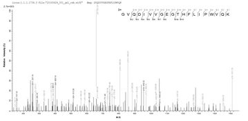 PHB / Prohibitin Protein - Based on the SEQUEST from database of E.coli host and target protein, the LC-MS/MS Analysis result of Recombinant Mouse Prohibitin(Phb),partial could indicate that this peptide derived from E.coli-expressed Mus musculus (Mouse) Phb.