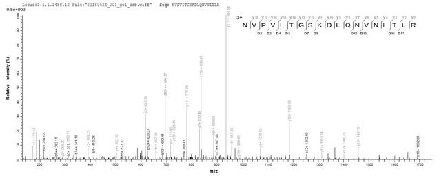 PHB / Prohibitin Protein - Based on the SEQUEST from database of E.coli host and target protein, the LC-MS/MS Analysis result of Recombinant Mouse Prohibitin(Phb),partial could indicate that this peptide derived from E.coli-expressed Mus musculus (Mouse) Phb.