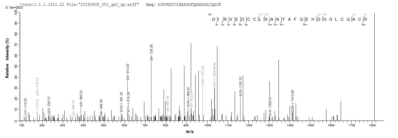 Properdin / CFP Protein - Based on the SEQUEST from database of Yeast host and target protein, the LC-MS/MS Analysis result of Recombinant Mouse Properdin(Cfp) could indicate that this peptide derived from Yeast-expressed Mus musculus (Mouse) Cfp.