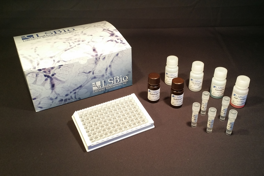 TG / Thyroglobulin ELISA Kit