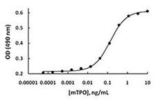 THPO / TPO / Thrombopoietin Protein - Mouse TPO (BL) induces proliferation of M-07e cells.