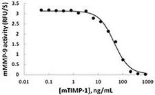 TIMP1 Protein - Activated mouse MMP-9 (100 ng/mL) is inhibited by different concentrations of mouse TIMP-1.